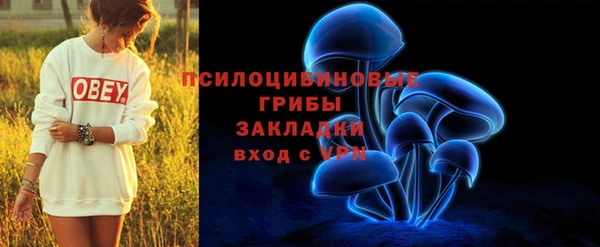 экстази Арсеньев