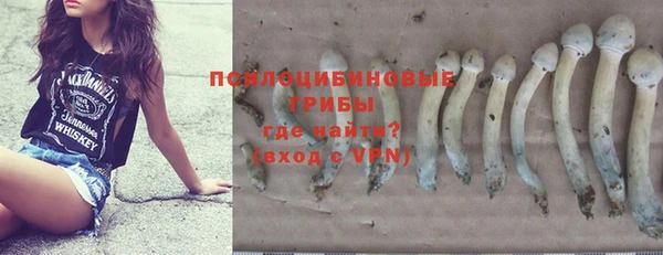экстази Арсеньев