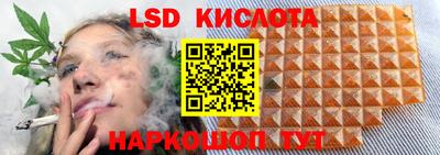 apvp Коммунар